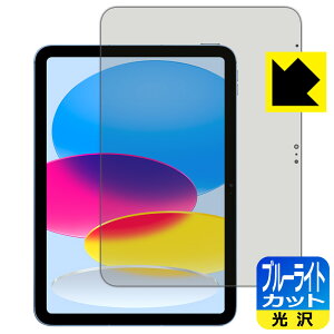 ブルーライトカット【 光沢 】保護フィルム iPad (第10世代・2022年発売モデル) 日本製 自社製造直販
