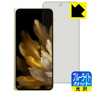 �u���[���C�g�J�b�g�y ���� �z�ی�t�B���� OPPO Find N3 (�T�u��ʗp) ���{�� ���А�������