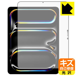 LYȏCیtB iPad Pro (13C`)(M4E2024Nf) ʗp { А