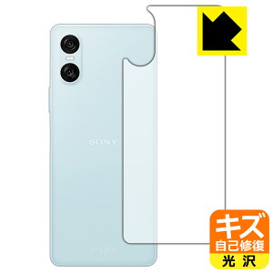 PDAH[ Xperia 10 VI (SO-52E/SOG14/A402SO/XQ-ES44) Ή LYȏC ی tB [wʗp]  { А