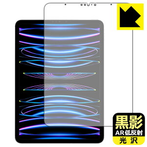PDA�H�[ iPad Pro (11�C���`)(��4����E2022�N�������f��) �Ή� ���e[AR�ᔽ�ˁE����] �ی� �t�B���� [��ʗp] ���{�� ���А�������
