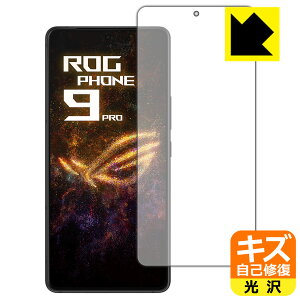 PDAH[ ASUS ROG Phone 9 / ROG Phone 9 Pro Ή LYȏC ی tB [wFؑΉ]  { А