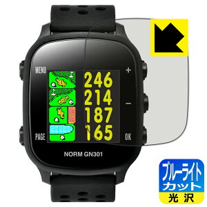 PDAH[ THE GOLF WATCH NORM GN301 Ή u[CgJbg[] ی tB { А