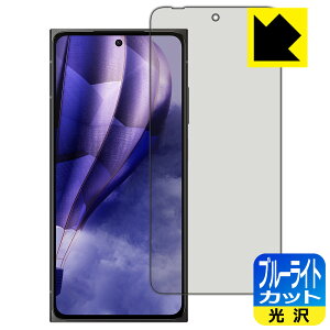 PDA�H�[ HMD Skyline �Ή� �u���[���C�g�J�b�g[����] �ی� �t�B���� ���{�� ���А�������