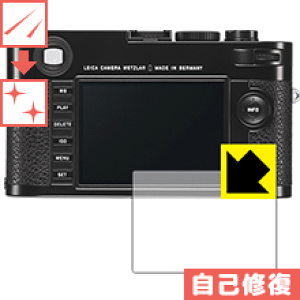 �L�Y���ȏC���ی�t�B���� ���C�JM (Typ 262/240) ���{�� ���А�������