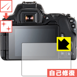 LYȏCیtB Canon EOS Kiss X10/X9 { А