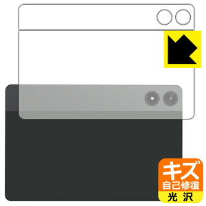 PDAH[ Alphawolf PPad2 Ή LYȏC ی tB [wʗp]  { А