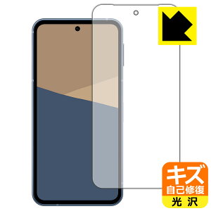 PDAH[ AQUOS sense10 Ή LYȏC ی tB [ʗp]  { А