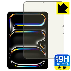 PDAH[ iPad Pro (11C`)(M5E2025Nf) Ή 9Hdx[u[CgJbg] ی tB  { А