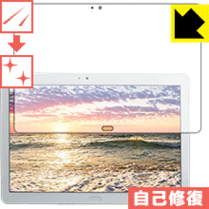 �L�Y���ȏC���ی�t�B���� Cube Free Young X7 ���{�� ���А�������