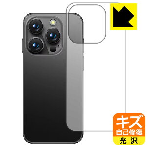PDA�H�[ SOYES XS19 Pro �Ή� �L�Y���ȏC�� �ی� �t�B���� [�w�ʗp] ���� ���{�� ���А�������