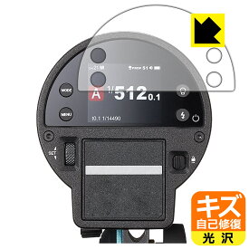 PDA工房 GODOX AD300ProII 対応 キズ自己修復 保護 フィルム 光沢 日本製 自社製造直販