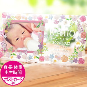 ygȄdEoԁz  tHgt[ ʐ^ xr[ Ԃ KX t[fUC xr[ Ԃ ʐ^ |XgJ[h v[g a oYj oYLO j 