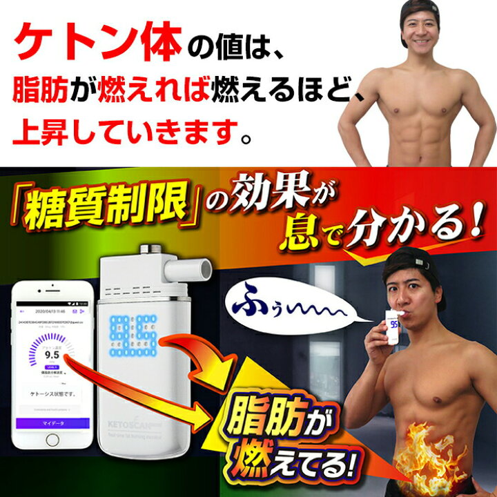 楽天市場】男性 女性 プレゼント 実用的 糖質制限 脂肪 燃焼 可視化 