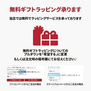 コジコジiPhoneSE(第2世代)/8/7/6s/6用,iPhone12/12Pro用、iPhone11/XR用、iPhoneXS/X用、アクリルパネルケース