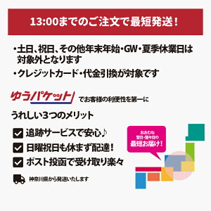 コジコジiPhoneSE(第2世代)/8/7/6s/6用,iPhone12/12Pro用、iPhone11/XR用、iPhoneXS/X用、アクリルパネルケース