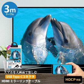 ミラーリングケーブル HDMI 3m 300cm USB Type-C コネクタ ブラック 黒 画面 大画面 鑑賞 TV テレビ モニター 転送 HDCP対応 USB-C USBC タイプC タイプシー ミラーリング ケーブル スマホ スマートフォン iPhone15 android アンドロイド パソコン PC