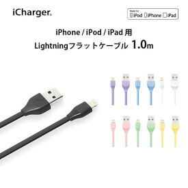 アウトレット USBケーブル 通信 充電 USB Type-A Lightning コネクタ 1m 1メートル 100cm 100センチ フラット ブラック ホワイト ピンク イエロー グリーン ブルー パープル 黒 白 黄色 緑 青 紫 ケーブル USBA TypeA タイプA タイプエー ライトニング iPhone iPad