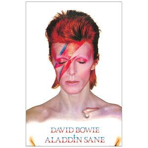 DAVID BOWIE �f���B�b�h�{�E�C (�Ǔ� 10�N ) - ALADDIN SANE / �|�X�^�[ �y���� / �I�t�B�V�����z