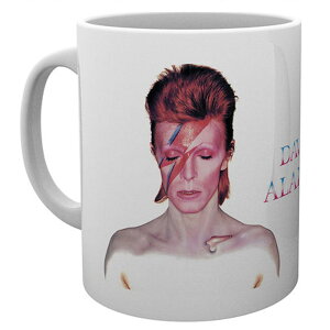 DAVID BOWIE �f���B�b�h�{�E�C (�Ǔ� 10�N ) - Aladdin Sane / �}�O�J�b�v �y���� / �I�t�B�V�����z