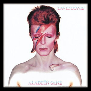 DAVID BOWIE �f���B�b�h�{�E�C (�Ǔ� 10�N ) - ALADDIN SANE (�A���o���E�V���[�Y�z) / �C���e���A�z �y���� / �I�t�B�V�����z