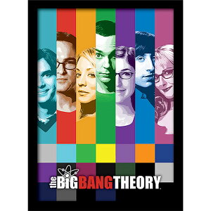 BIG BANG THEORY �r�b�O�o���Z�I���[ - Signals / �C���e���A�z �y���� / �I�t�B�V�����z