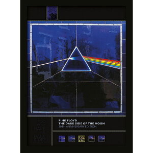 PINK FLOYD �s���N�t���C�h - Dark Side of the Moon- 30th Anniversary / �C���e���A�z �y���� / �I�t�B�V�����z