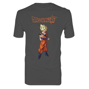 ドラゴンボール Ssの人気商品 通販 価格比較 価格 Com ドラゴンボール Ssの人気商品 通販 価格比較 価格 Com