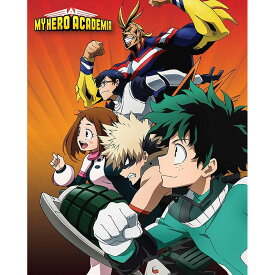 楽天市場 僕のヒーローアカデミア ポスターの通販