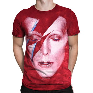 DAVID BOWIE �f���B�b�h�{�E�C (�Ǔ� 10�N ) - ALADDIN SANE / �^�C�_�C / T�V���c / �����Y �y���� / �I�t�B�V�����z