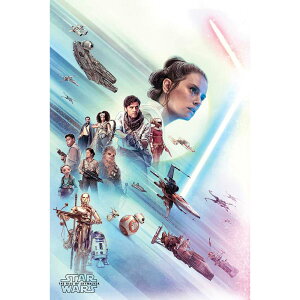 STAR WARS X^[EH[Y - The Rise of Skywalker / Rey / |X^[ y / ItBVz