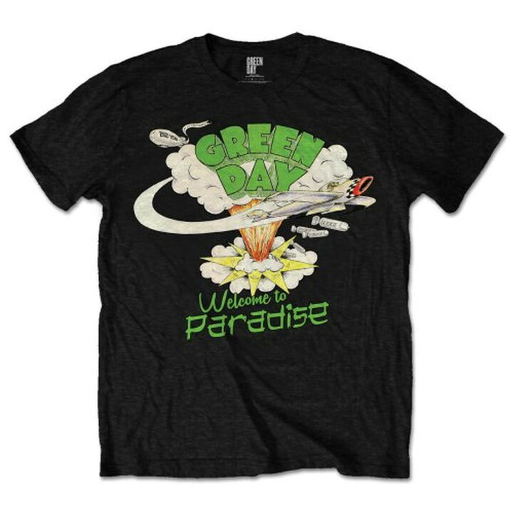 Green Day グリーンデイ ツアー2025 掻ける Tシャツ D