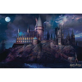 HARRY POTTER ハリーポッター - Hogwarts / ポスター 【公式 / オフィシャル】