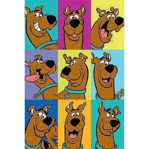 SCOOBY DOO 㒎XN[r[̑` - The Many Faces of Scooby Doo / |X^[ y / ItBVz