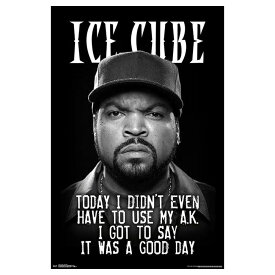 楽天市場 ポスター Ice Cubeの通販