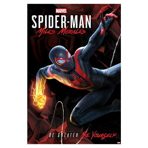 スパイダーマン ポスターの人気商品 通販 価格比較 価格 Com