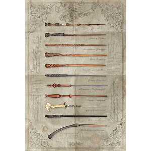 HARRY POTTER �n���[�|�b�^�[ (���J 25���N ) - The Wand Chooses The Wizard / �|�X�^�[ �y���� / �I�t�B�V�����z
