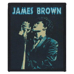 JAMES BROWN �W�F�[���X�u���E�� (�Ǔ� 20�N ) - Singing in Blue / ���b�y�� �y���� / �I�t�B�V�����z