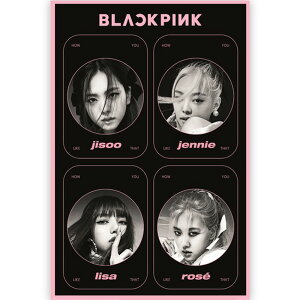 BLACKPINK �u���b�N�s���N - HOW YOU LIKE THAT / �|�X�^�[ �y���� / �I�t�B�V�����z