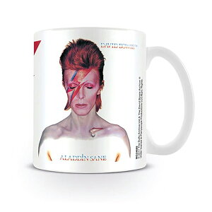 DAVID BOWIE �f���B�b�h�{�E�C (�Ǔ� 10�N ) - Aladdin Sane / �}�O�J�b�v �y���� / �I�t�B�V�����z