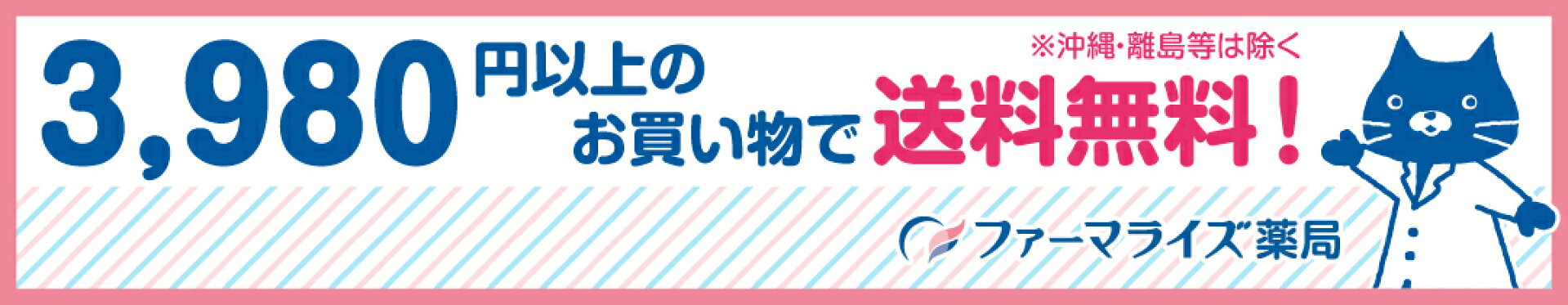 3,980円以上のお買い物で送料無料