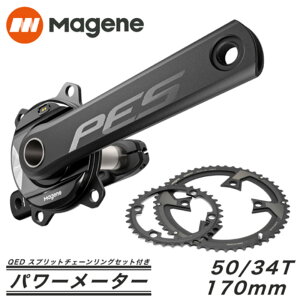 Magene�i�}�[�W�[���jPES-P505 �X�p�C�_�[�^�p���[���[�^�[ �N�����N 170mm 50-34