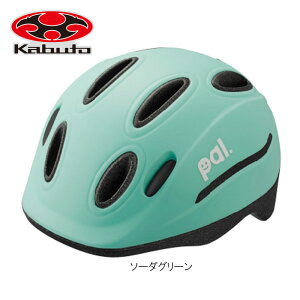OGK KABUTO�i�I�[�W�[�P�[�J�u�g�jPAL_H �p��_H �w�����b�g �q���p �`���C���h ���]��