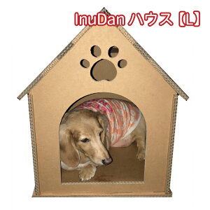 yInuDannEXLzO wi{[ ʂ pi ObY nEX ybg  Ck  i{[ _{[nEX   v hbOnEX LbgnEX CX^gnEX 