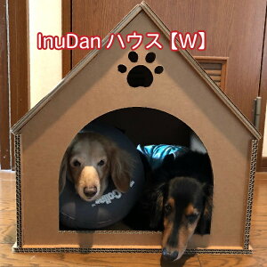 yInuDannEXWzCh wi{[ ʂ pi ObY nEX ybg  Ck  i{[ _{[nEX   v hbOnEX LbgnEX CX^gnEX 