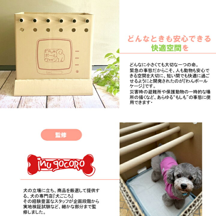 楽天市場】専門家監修 ペットケージ 【InuDan わんボールケージ】いぬ 