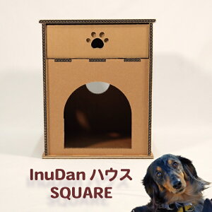 yInuDannEXSQUAREzwi{[ XNGA ʂ pi ObY pnEX ybg  Ck  i{[ _{[nEX   v hbOnEX LbgnEX CX^