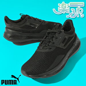 31%off �������� �v�[�} �����Y �X�j�[�J�[ �����S�n���Q �ӂ�ӂ�C���\�[�� PUMA SOFTRIDE �V�����g���[ ���[�J�b�g �V���[�Y �C 379582