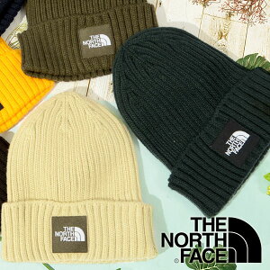 ザ ノース フェイス The North Face ニット帽 メンズ帽子 キャップ 通販 人気ランキング 価格 Com