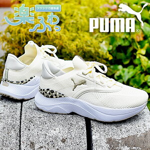 25%off  qE v[} fB[X  Xj[J[ SnQ ӂӂC\[ PUMA SOFTRIDE Cu nCubh XLY EBY [Jbg V[Y C Ip[h 2025